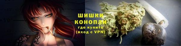 сатива Кущёвская