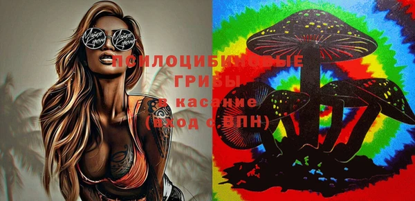 дурь Кодинск