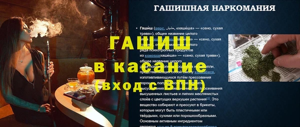 сатива Кущёвская