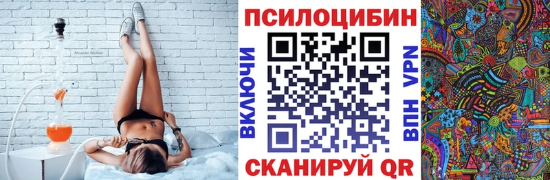 Псилоцибиновые грибы Cubensis  Нальчик 